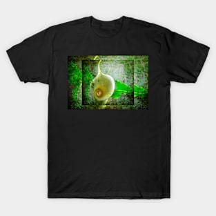 Arum lily. T-Shirt